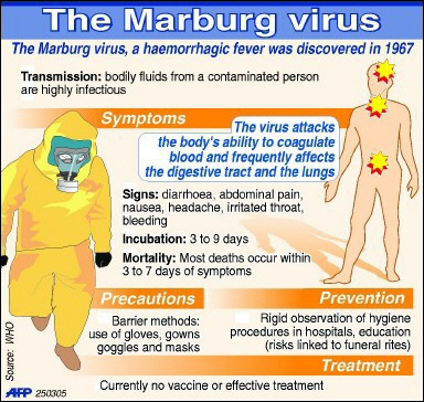 Marburg Virus Claims Life in Uganda’s Capital Kampala