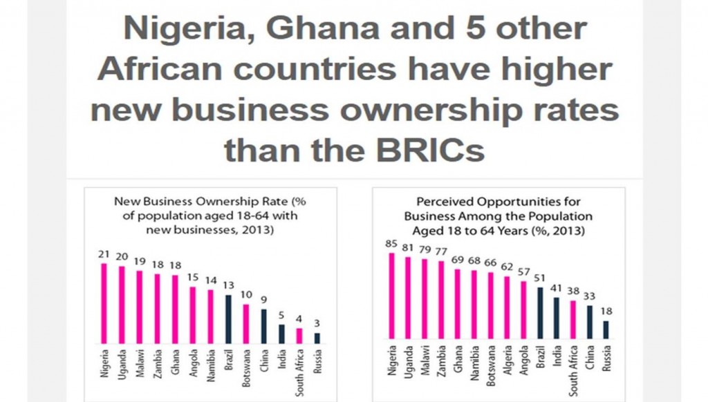 Nigeria, Uganda, Malawi and 4 Other African Countries Have A Higher New Business Ownership Rate Compared to BRICs