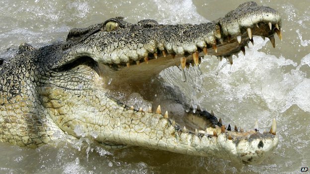Fisherman Turned Village Hero After Killing 20ft Croc That Ate His Pregnant Wife