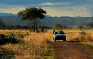 Road Trips in Africa: Six Best Guidelines to Organizing the Trip of a Lifetime.