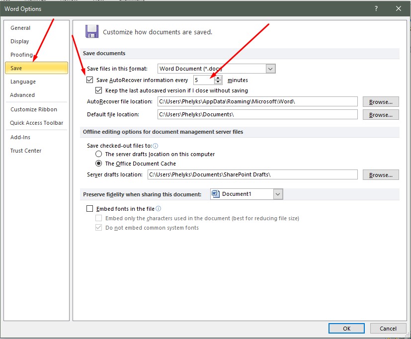 change autorecover file location word 2010