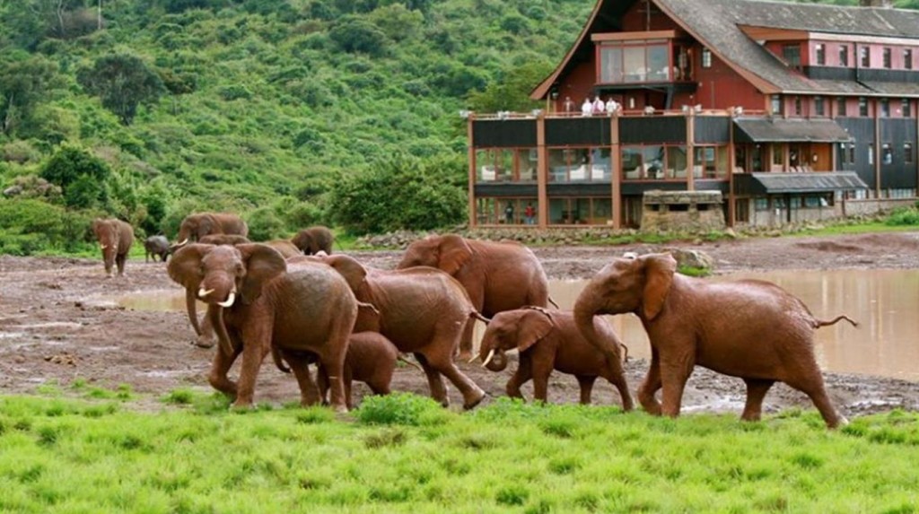 Six Must-Visit Exotic Hotels in East Africa
