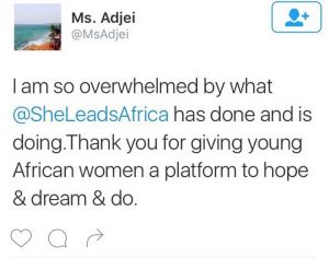 She Leads Africa, they trained, they networked, they inspired