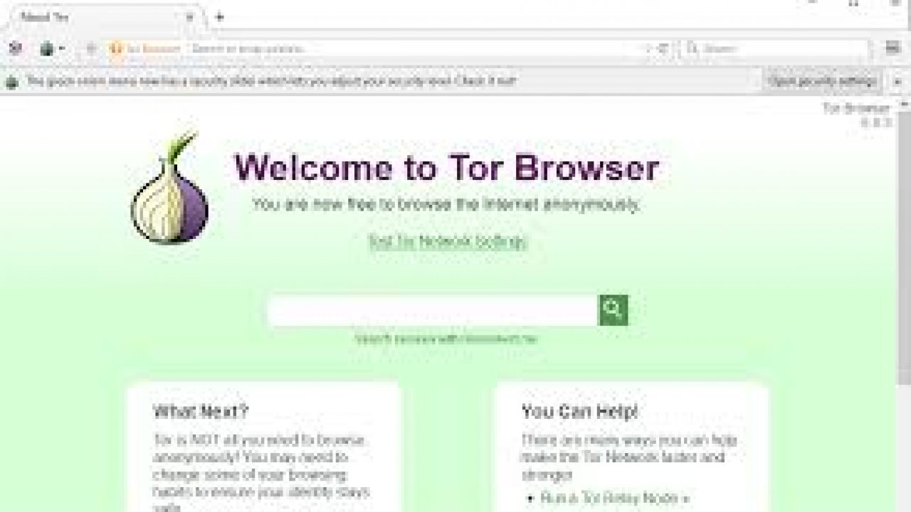 Can you download tor browser on iphone hudra тор браузер меняет ip hidra