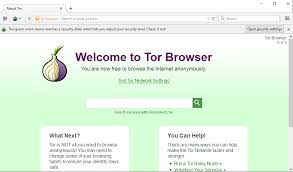 tor browser iphone