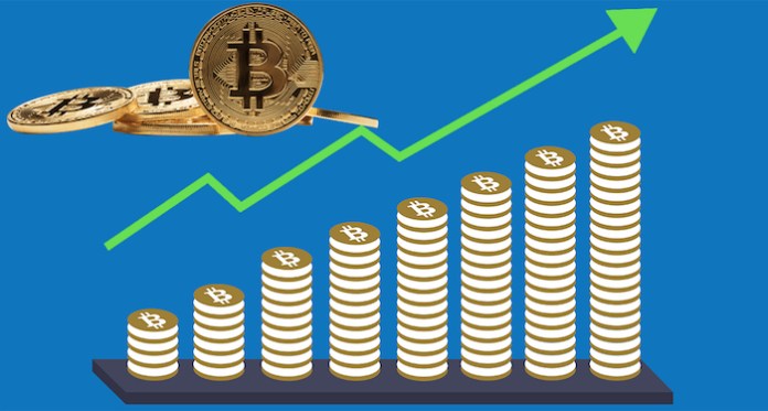 bitcoin trading profit bitcoin software de analiză a pieței